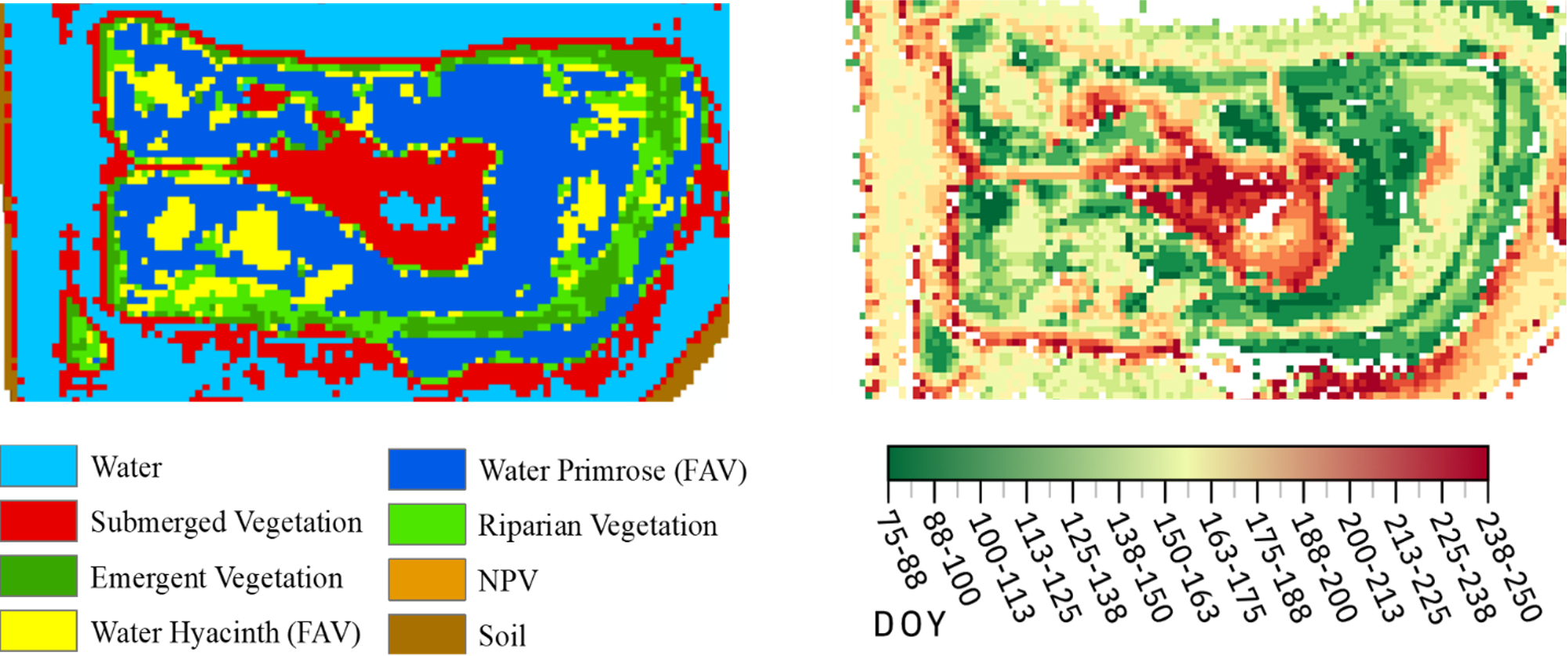 Rhode Island classification map (left) and extracted start date (right) for 2018 in Julian days from NDVI timeseries. 
